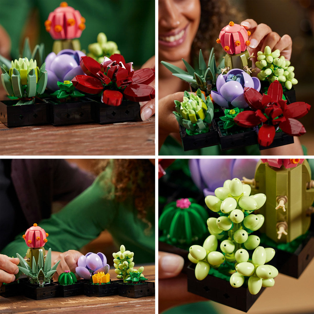 LEGO® Succulents 10309 Plant Decor Building Kit 771 Pieces