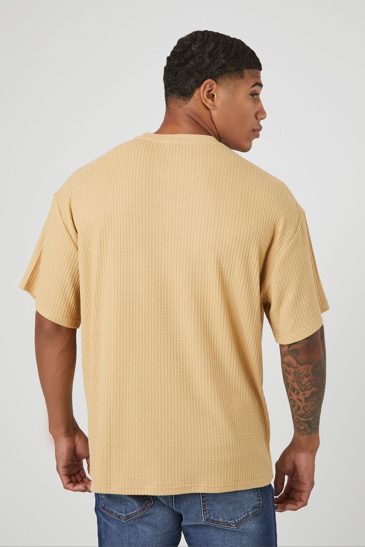 0049050005#Color_CAMEL
