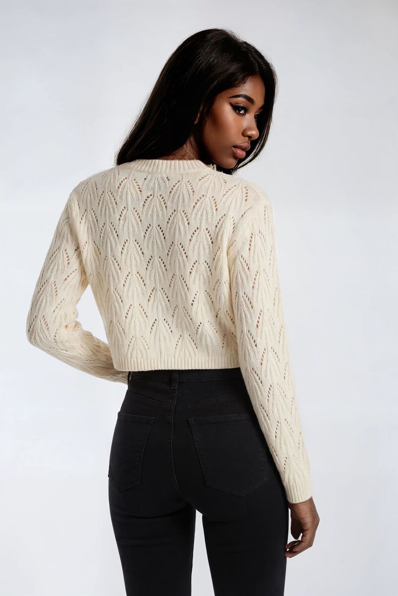 Embroidered Strawberry Cropped Pointelle Sweater