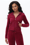Heritage Cotton Velour Hoodie - Juicy Couture