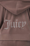 Plus-Size OG Big Bling Velour Hoodie - Juicy Couture