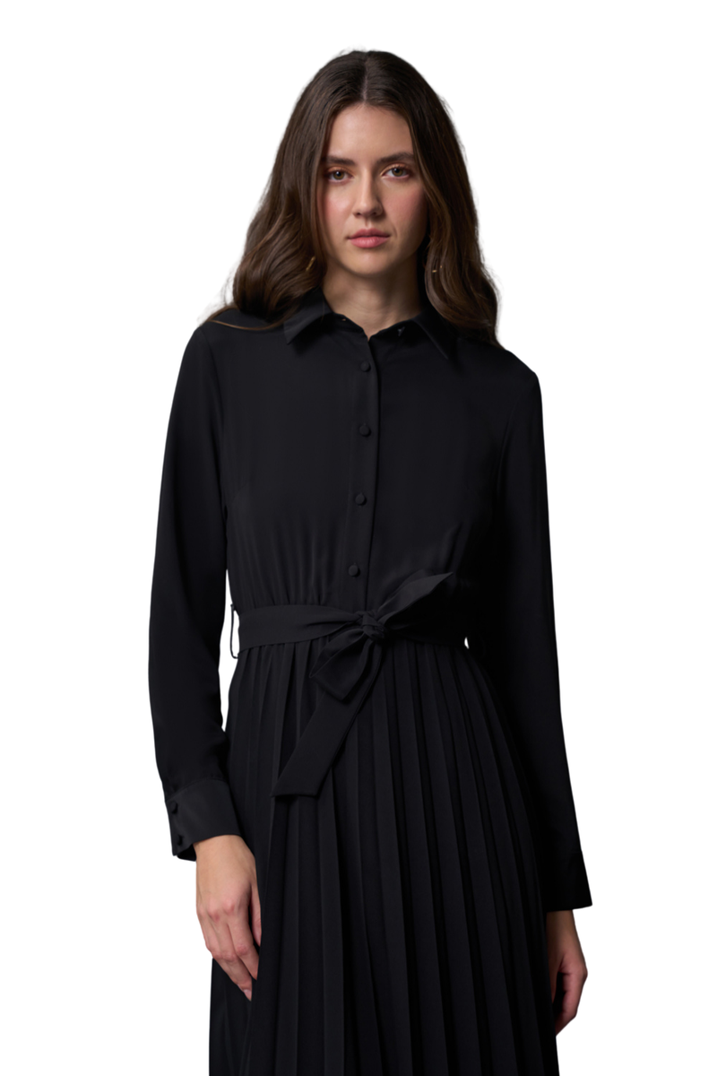 Shirt Dress With Pleated Skirt - Skirt