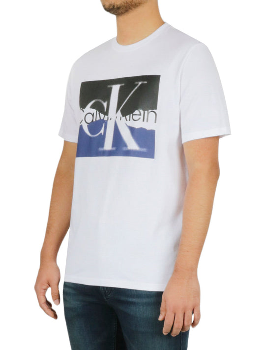 Short Sleeves Torn Logo Crew Tee