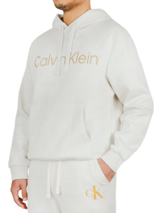 Long Sleeves Metallic Logo Po Hoodie