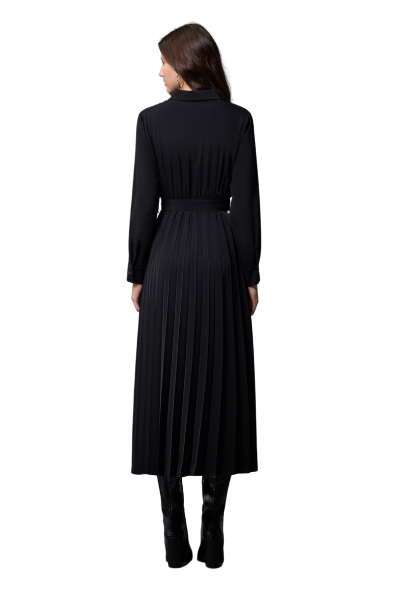Shirt Dress With Pleated Skirt - Skirt