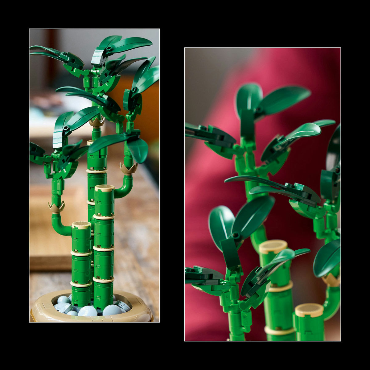 LEGO® Botanicals Lucky Bamboo Plant Decor 10344