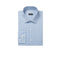 Van Heusen Regular Fit Stain Shield Stretch FLEX Check