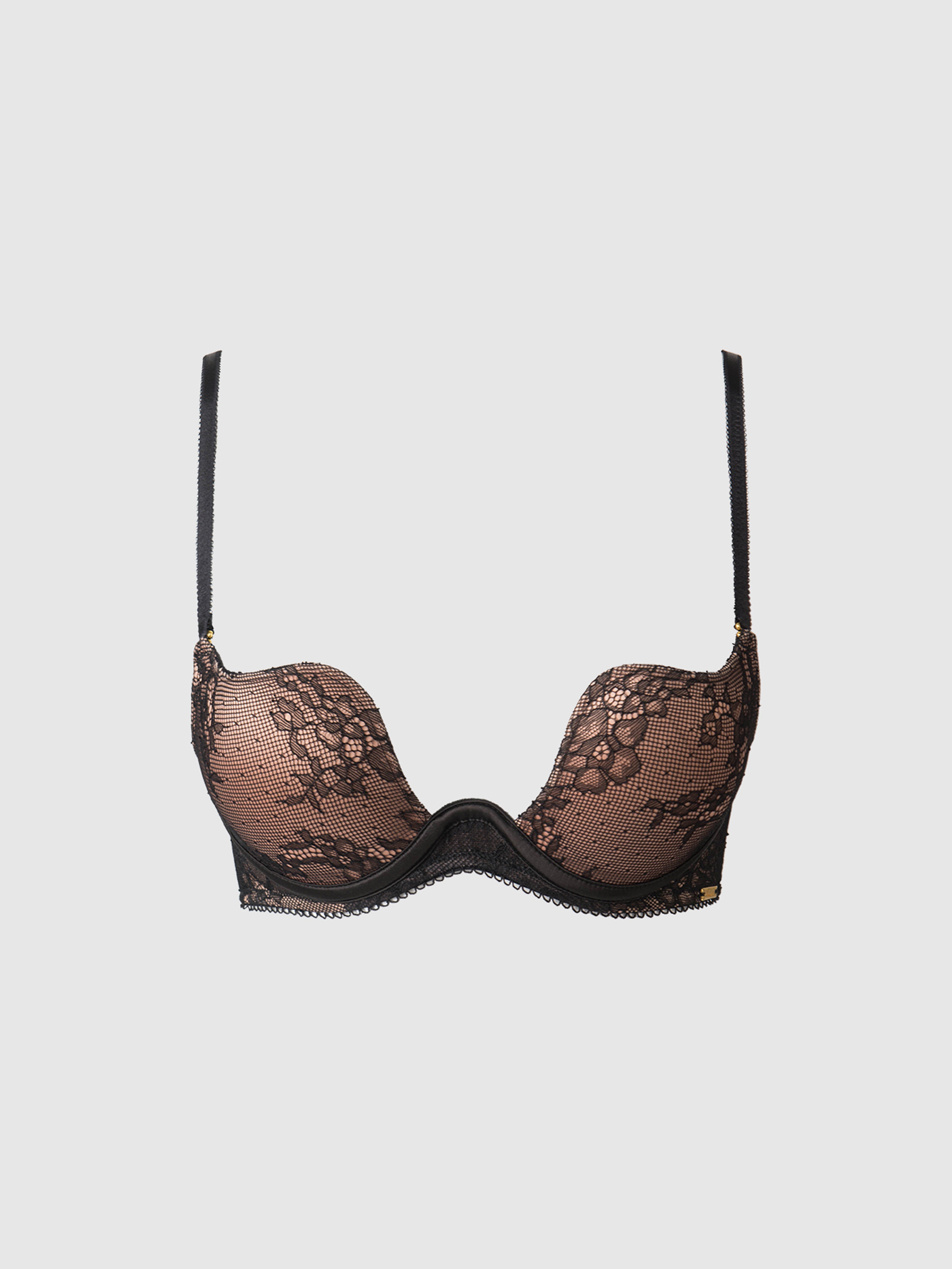 Luella Lace Rising Star Push Up Bra - Frederick's Of Hollywood
