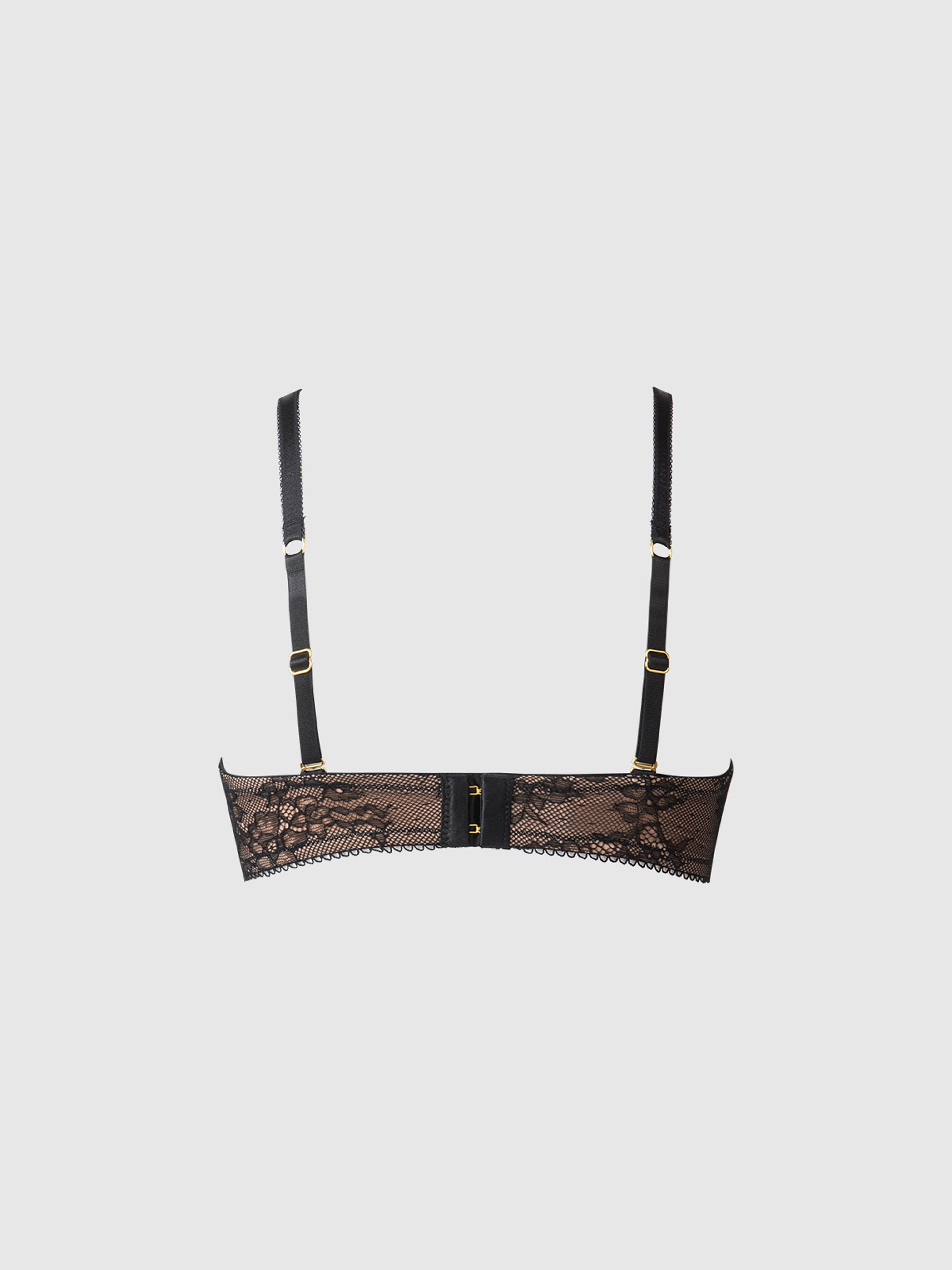 Luella Lace Rising Star Push Up Bra - Frederick's Of Hollywood