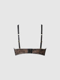 Luella Lace Rising Star Push Up Bra - Frederick's Of Hollywood