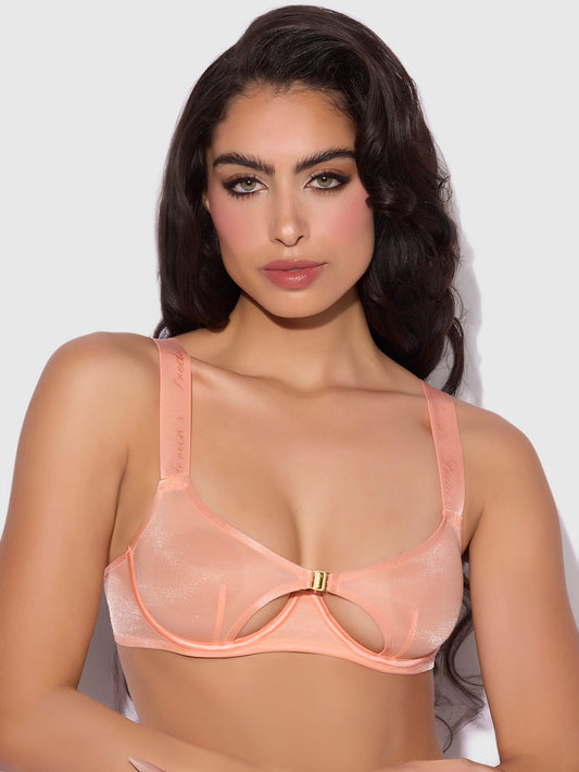 Pia Unlined Cutout Mesh Bra - Frederick's Of Hollywood