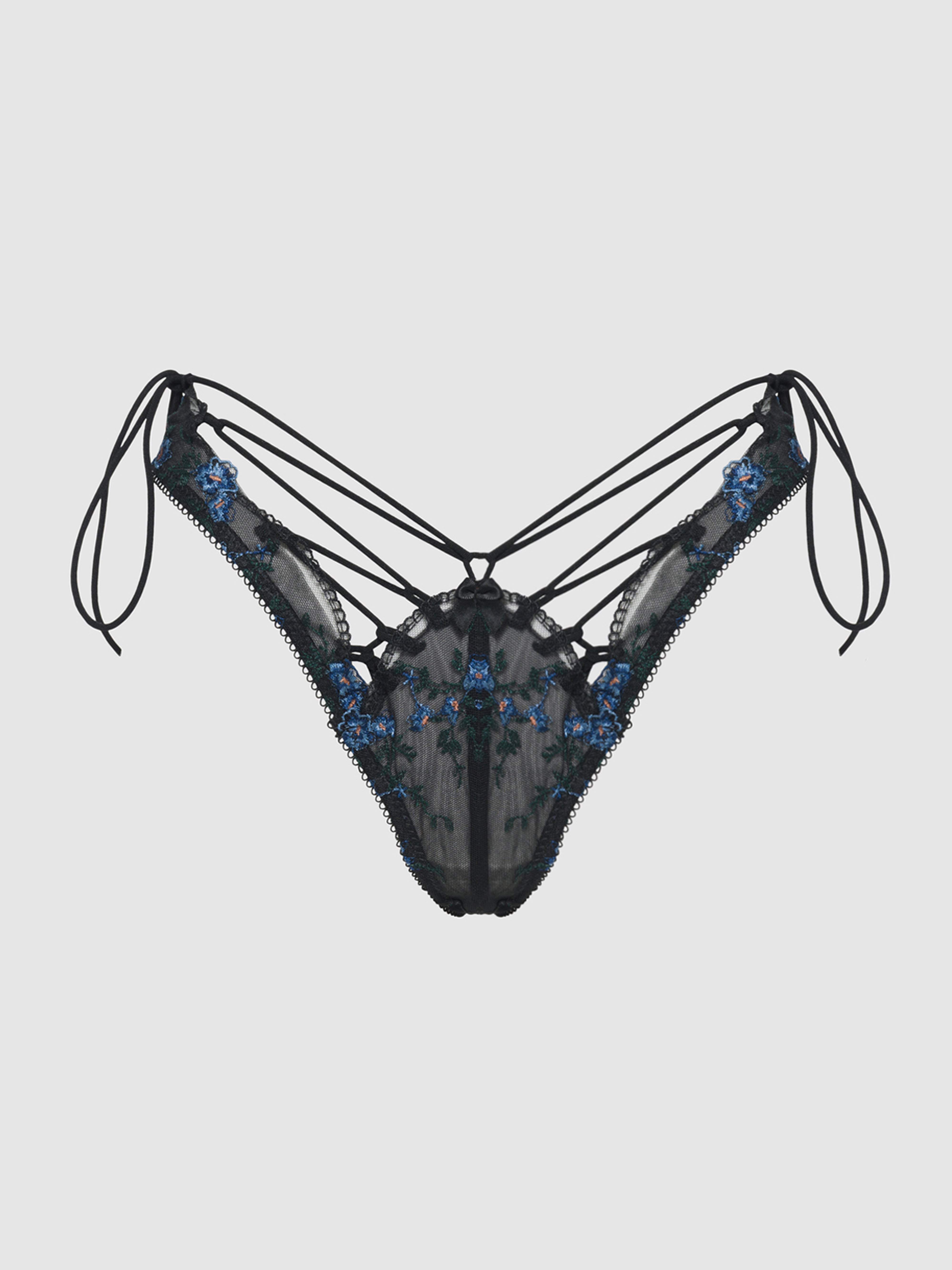 Harlow Embroidered Mesh Hipster - Frederick's of Hollywood