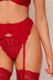 Jessica Lace Garter Belt - Fredericks of Hollywood
