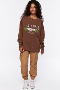 BROWN/MULTI Embroidered Alaska Graphic Pullover, image 4