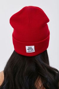 Sylvester Embroidered Graphic Beanie, image 2
