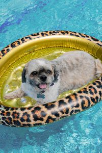 BROWN/MULTI PoolCandy Inflatable Pet Float Safari Collection, image 2