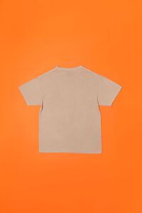 TAUPE/MULTI Mount Westmore Graphic Tee, image 7