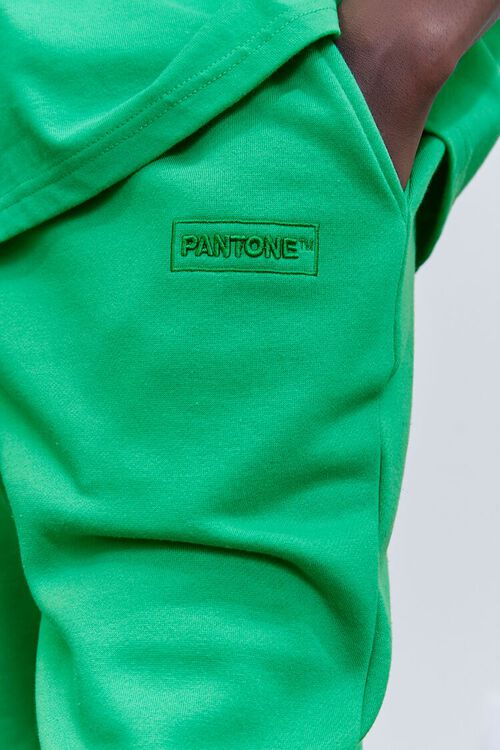 GREEN Embroidered Pantone Graphic Joggers, image 6