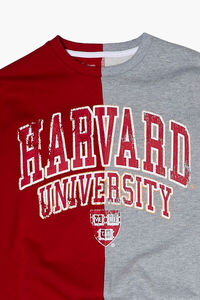 RED/MULTI Kids Harvard University Graphic Pullover (Girls + Boys), image 3