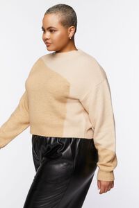 Plus Size Colorblock Sweater, image 2