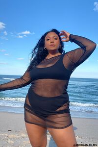 BLACK Plus Size Mesh Swim Cover-Up Dress, image 1