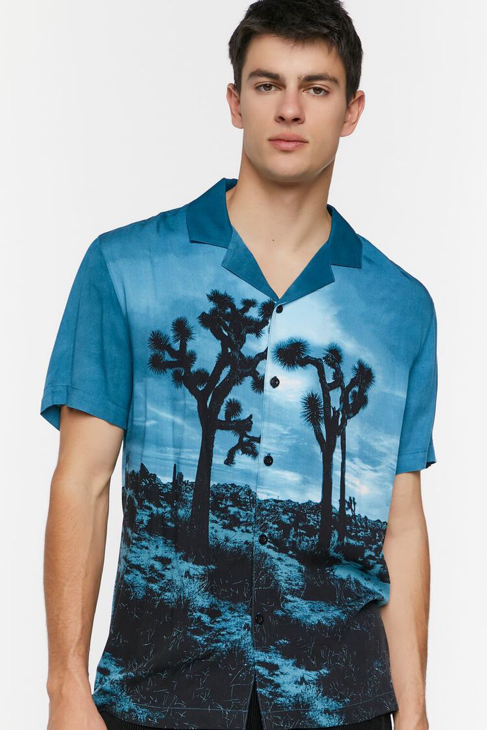 Louis Vuitton Landscape Hawaiian Shirt, Multi, So
