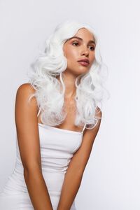 Synthetic Curly Wig, image 1