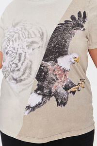 CREAM/MULTI Plus Size Colorblock Eagle Graphic Tee, image 5