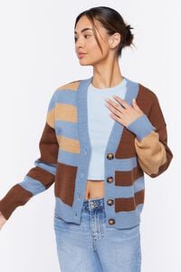 BLUE/BROWN Striped Cardigan Sweater, image 1