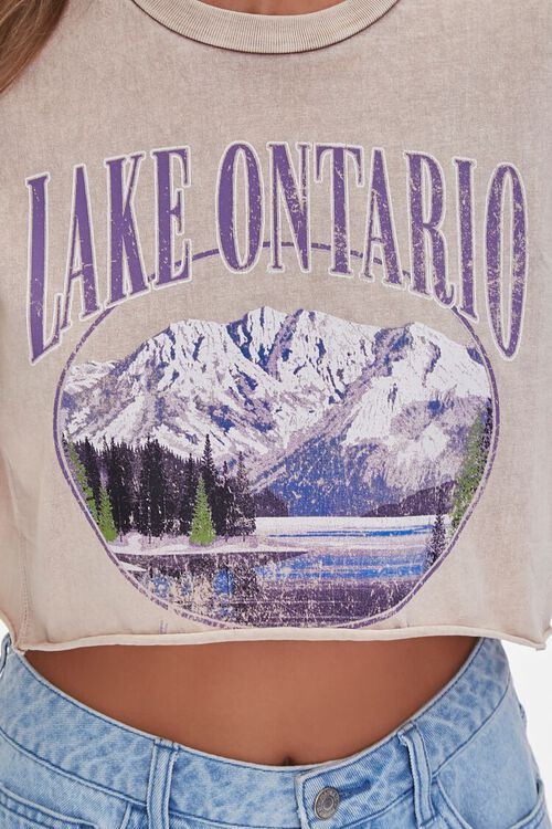 TAUPE Lake Ontario Graphic Cropped Tee, image 5