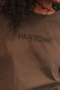 BROWN Embroidered Pantone Tee, image 5
