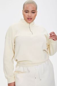 Plus Size Half-Zip Pullover