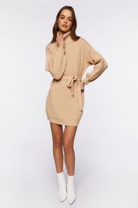 OATMEAL Turtleneck Mini Sweater Dress, image 4