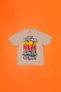 TAUPE/MULTI Mount Westmore Graphic Tee, image 6