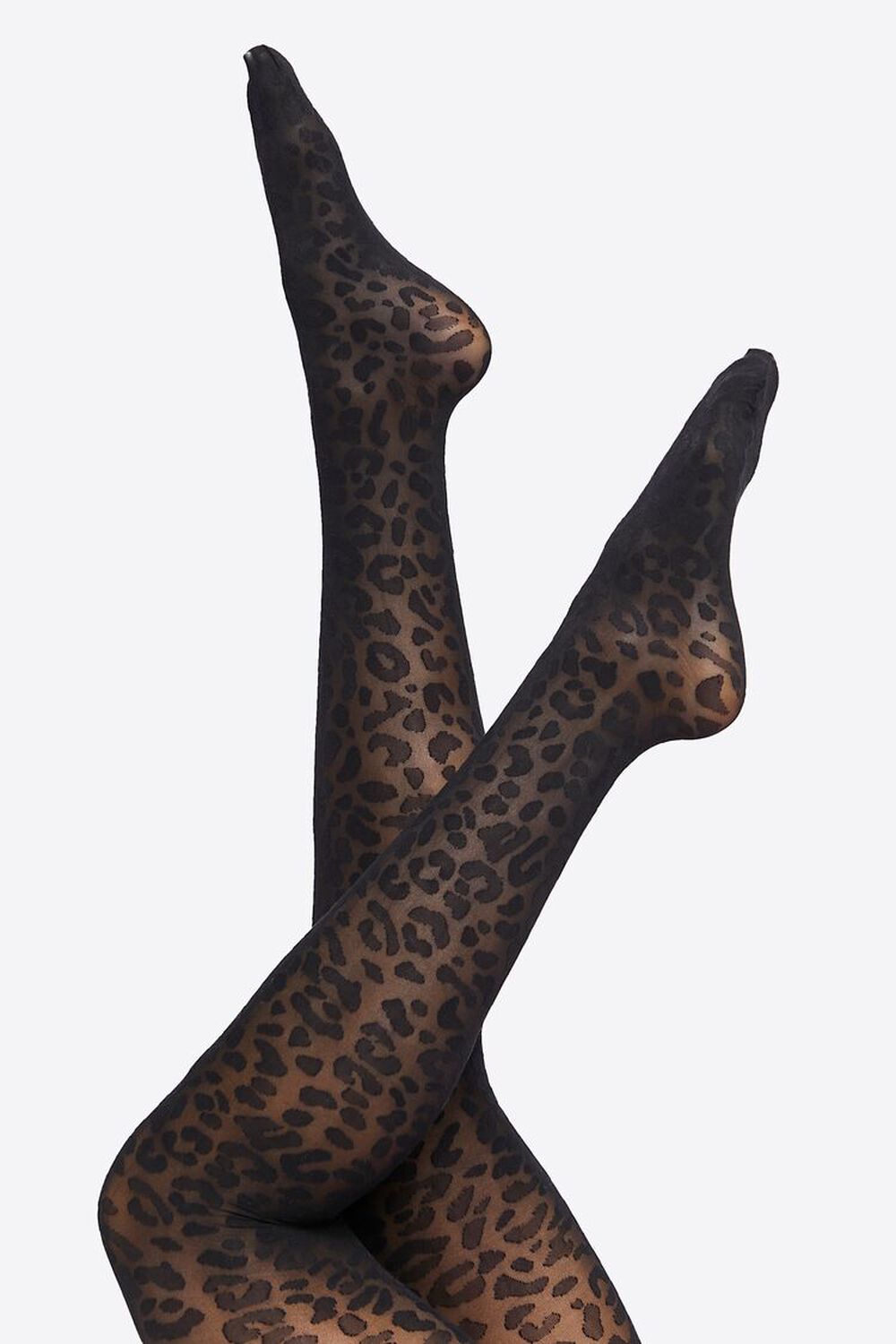 Women's Curvy Leopard Sheer Nylon Control Top Tights