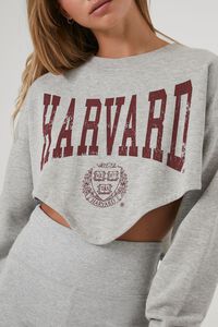HEATHER GREY Harvard Graphic Pullover, image 5