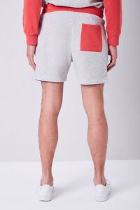 HEATHER GREY/RED Embroidered Hazy Daze Shorts, image 4
