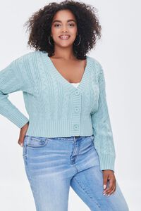 SAGE Plus Size Pantone Cardigan Sweater, image 1