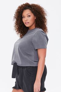 CHARCOAL Plus Size Mineral Wash Tee, image 2