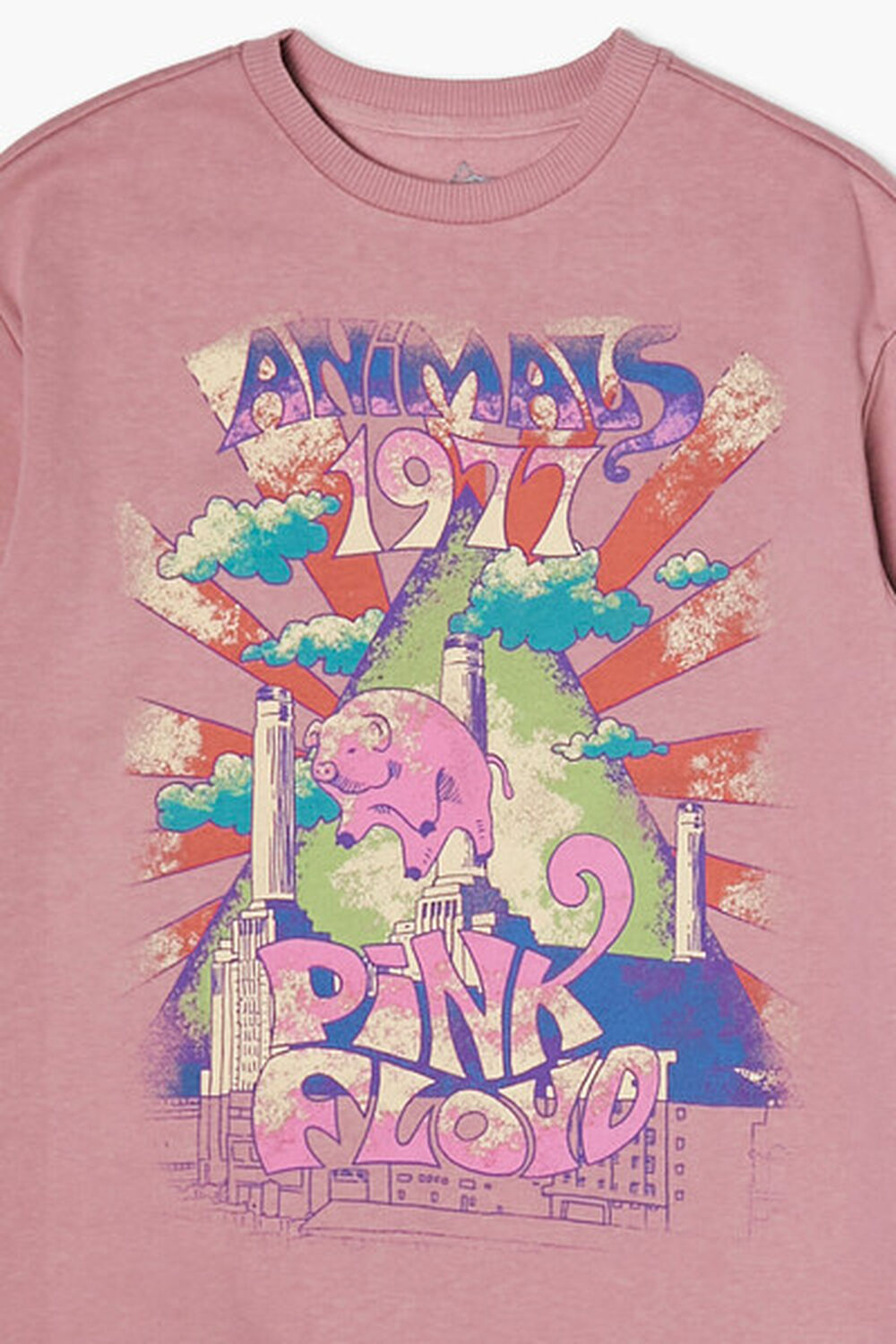 Girls Pink Floyd Graphic Pullover (Kids)