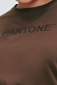 Plus Size Embroidered Pantone Crew Tee, image 6