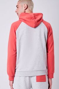 HEATHER GREY/RED Embroidered Hazy Daze Graphic Hoodie, image 3