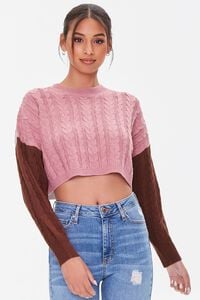 MAUVE/MULTI Colorblock Cropped Sweater, image 1