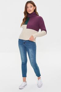BEIGE/MULTI Colorblock Turtleneck Sweater, image 5