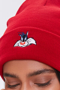 Sylvester Embroidered Graphic Beanie, image 3