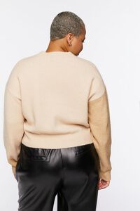 Plus Size Colorblock Sweater, image 3