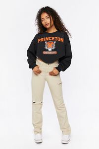 BLACK/MULTI Princeton University Cropped Pullover, image 4