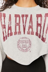 HEATHER GREY/MULTI Harvard Graphic Pullover, image 5