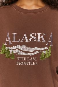 BROWN/MULTI Embroidered Alaska Graphic Pullover, image 5