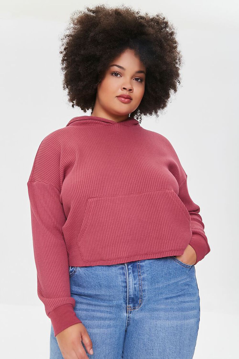 BERRY Plus Size Ribbed Knit Hoodie, image 1